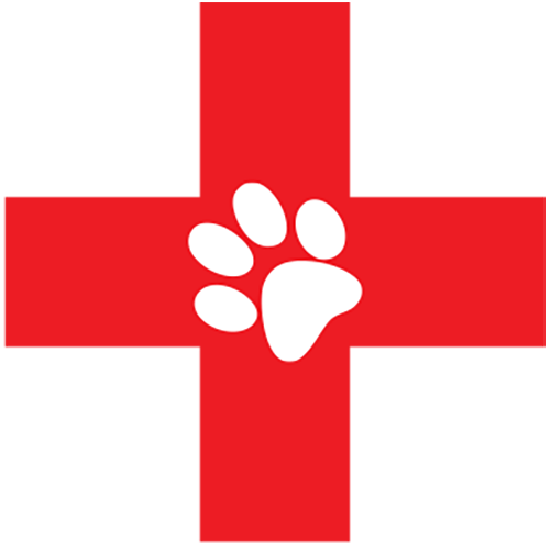 Midland Animal Hospital Favicon