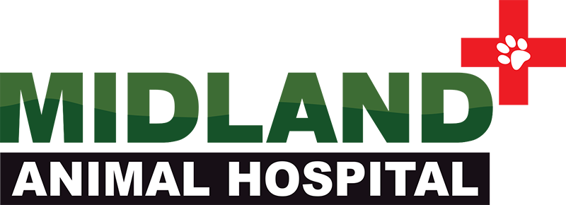 Midland Animal Hospital logo