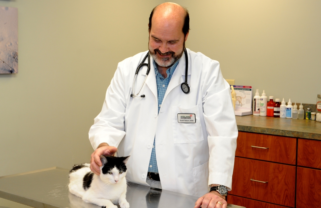 Dr. Tatum with a black and white cat