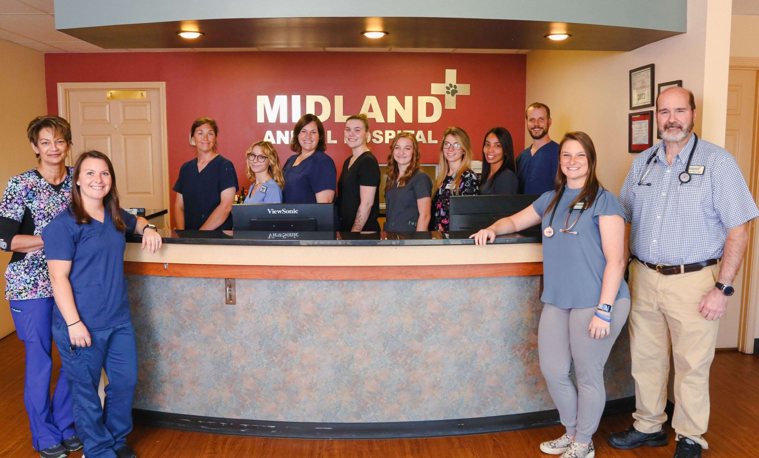 Midland Animal Hospital Team