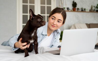 Why does my dog seem stiff, could it be arthritis