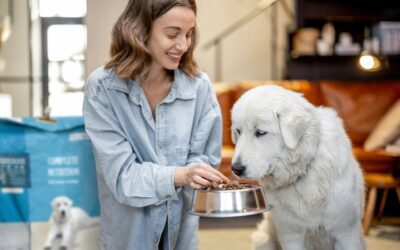 Are Peanuts and Peanut Butter Safe for Dogs?